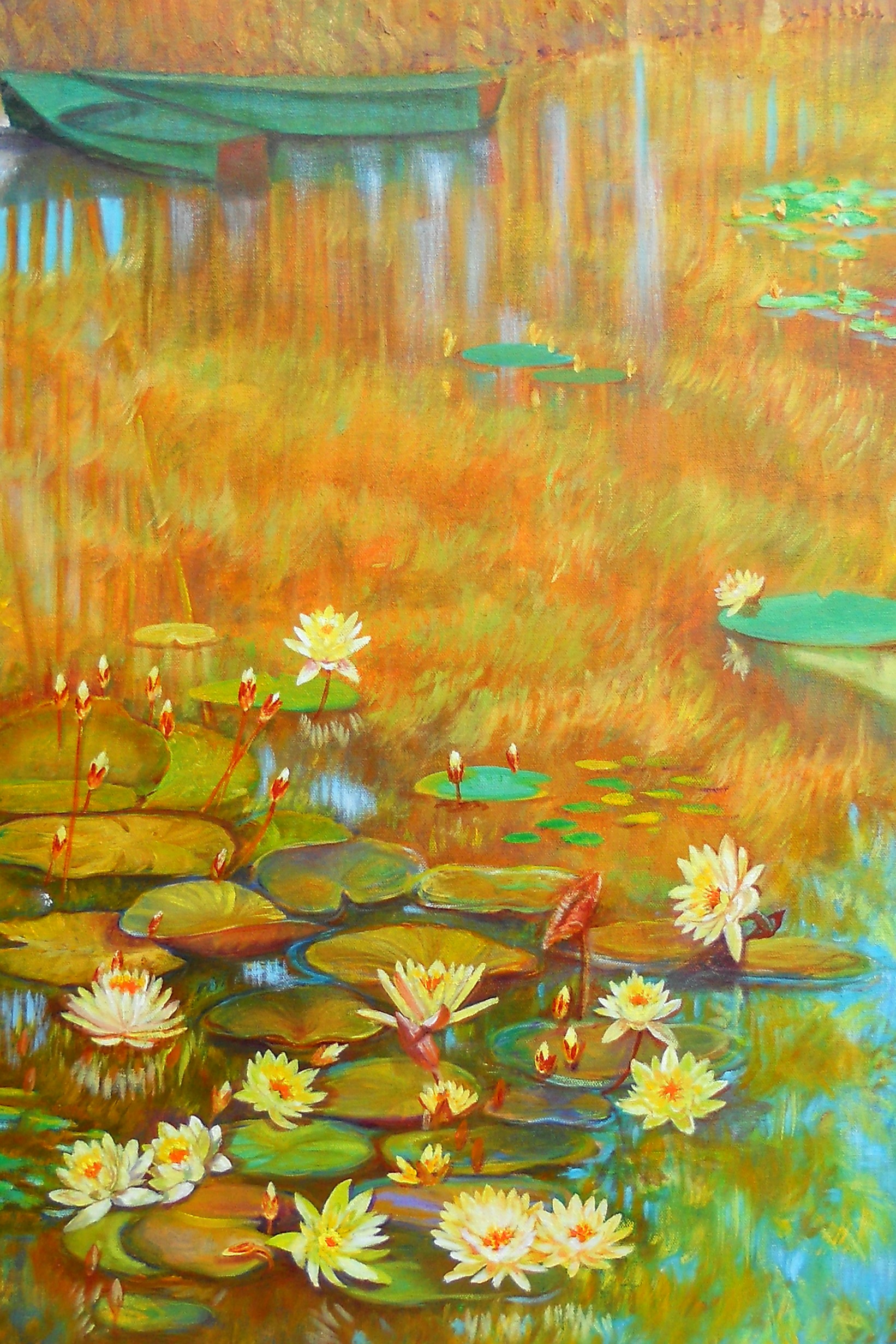 Yellow lotus pond