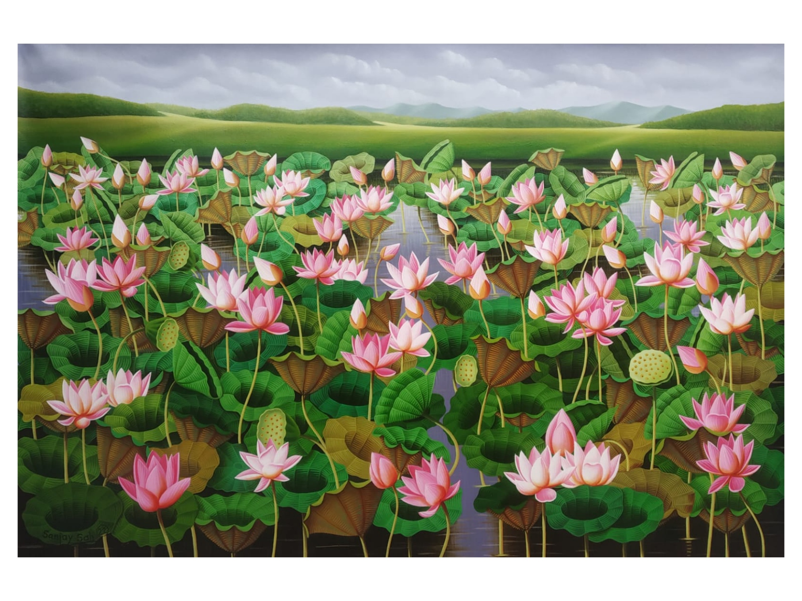 Lotuses In Pond 2