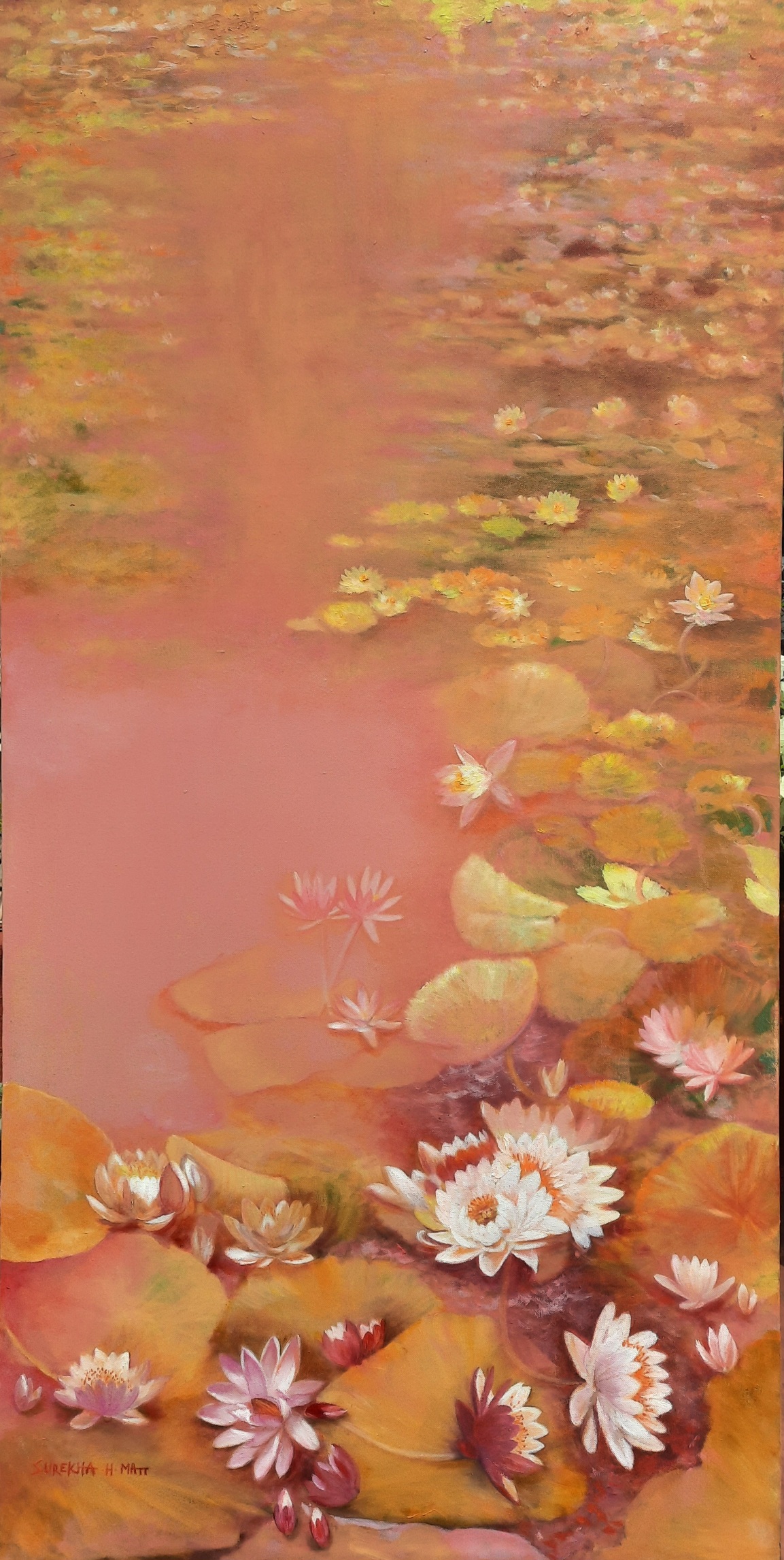 Pink Lotus Pond
