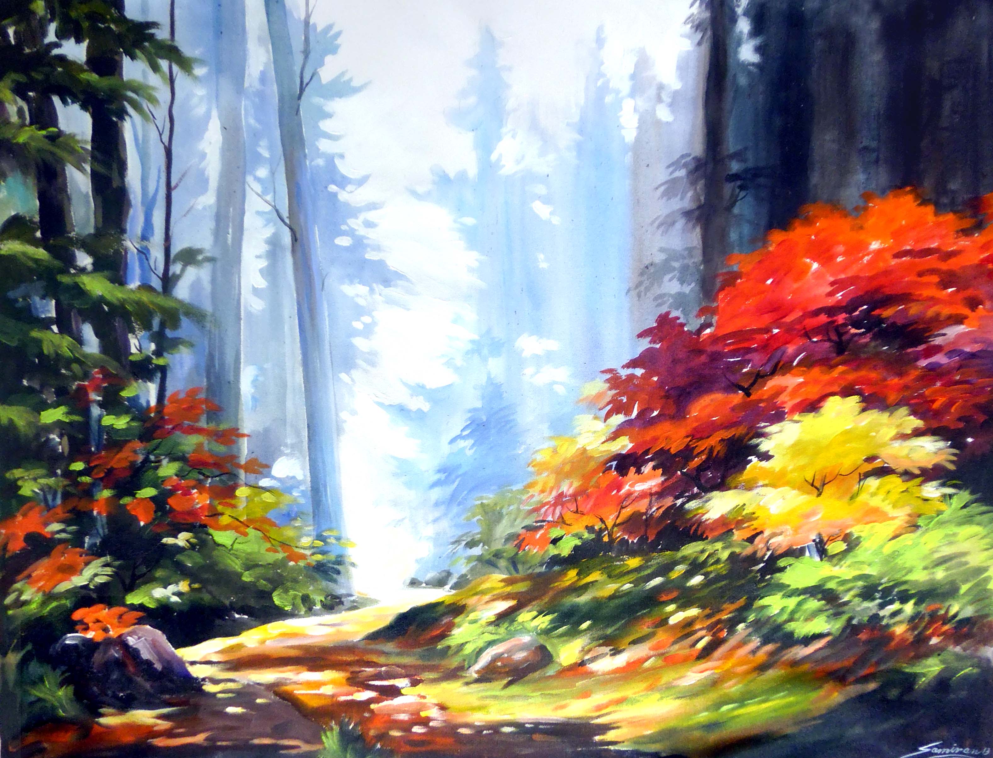 Beauty of Colorful Forest