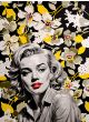 MARILYN MONROE 7