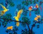 Birds in Paradise