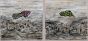 Untitled (Set of 2)