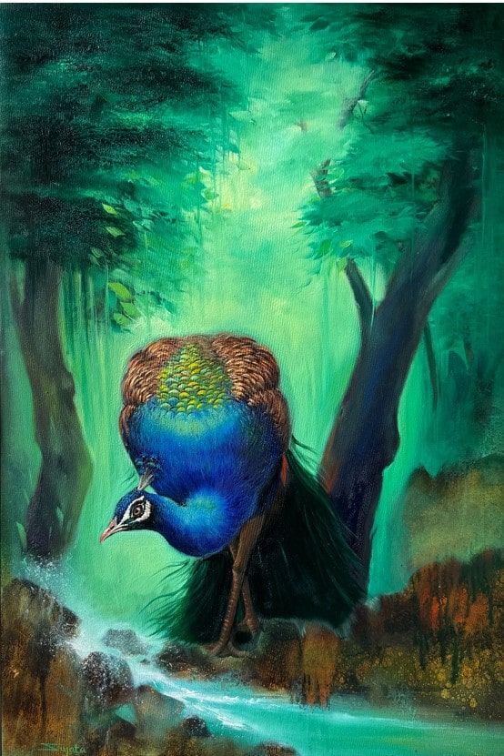 Peacock in forest
