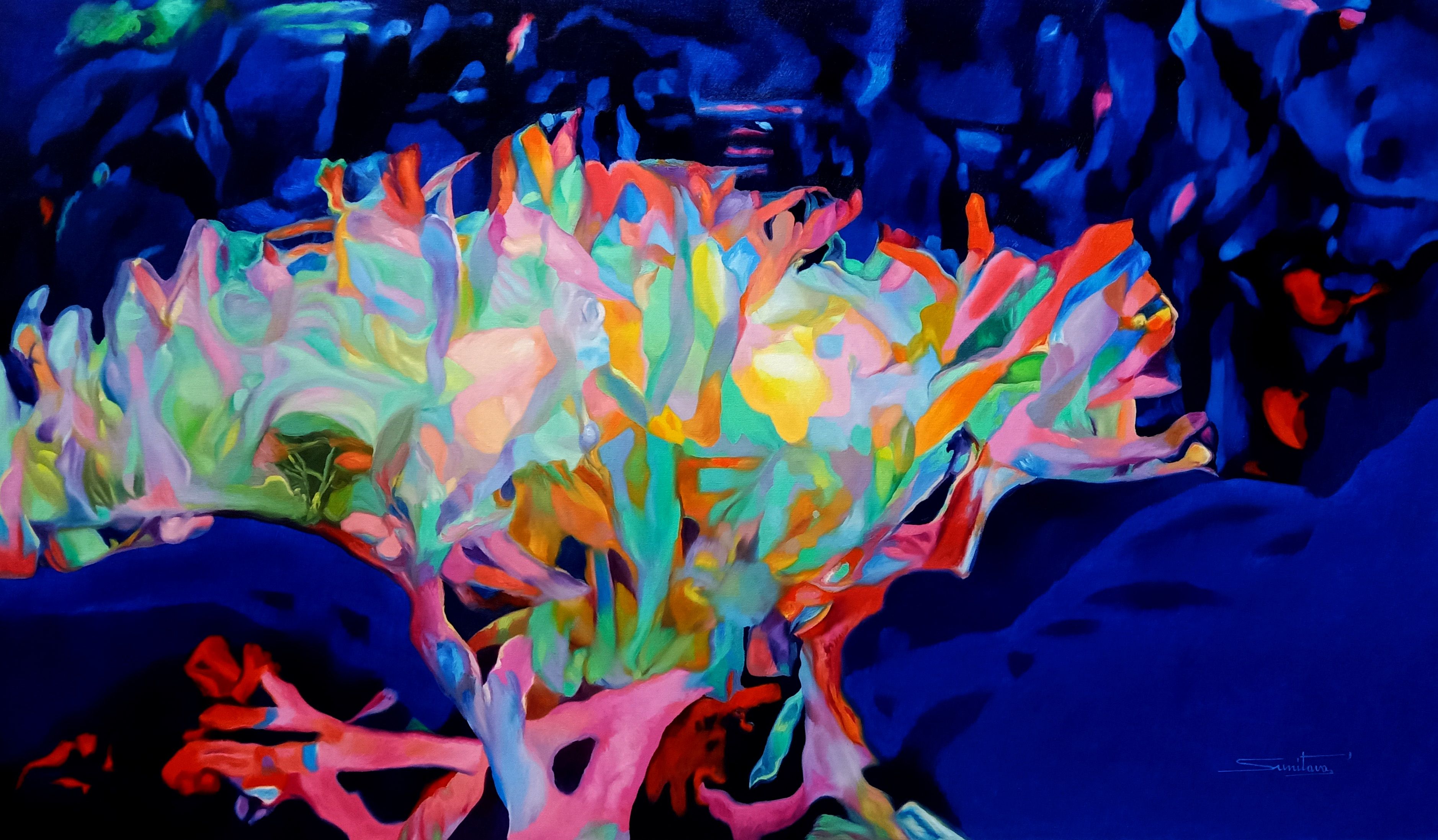 Colour of the Universe XXXIV