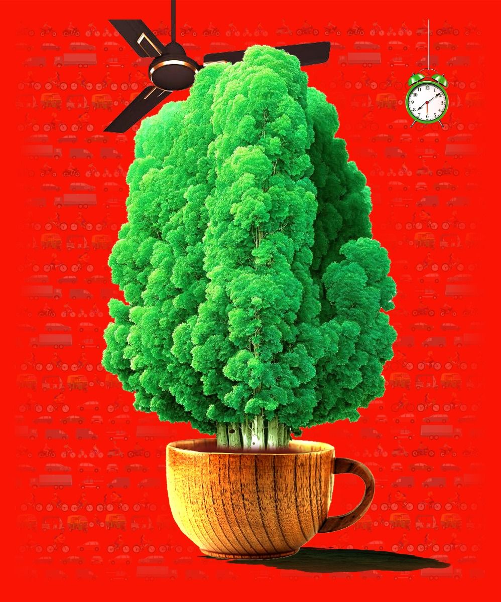 morning tree