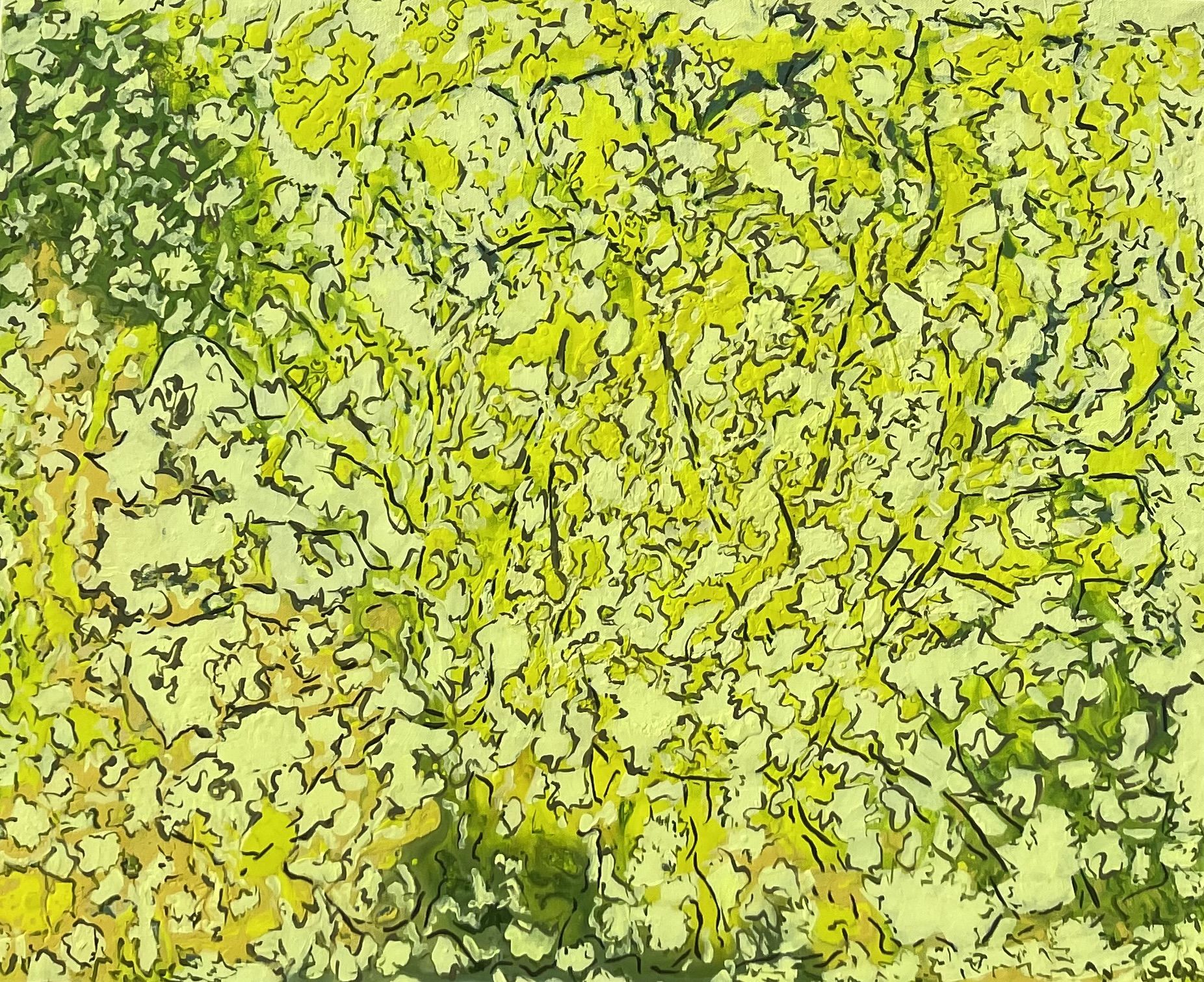 I Hide in the Sunflower