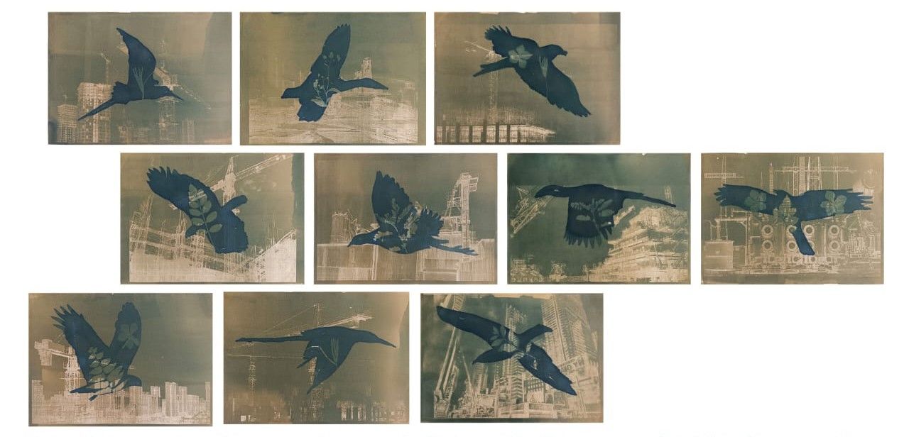 Let's fly away to a better place set of 10