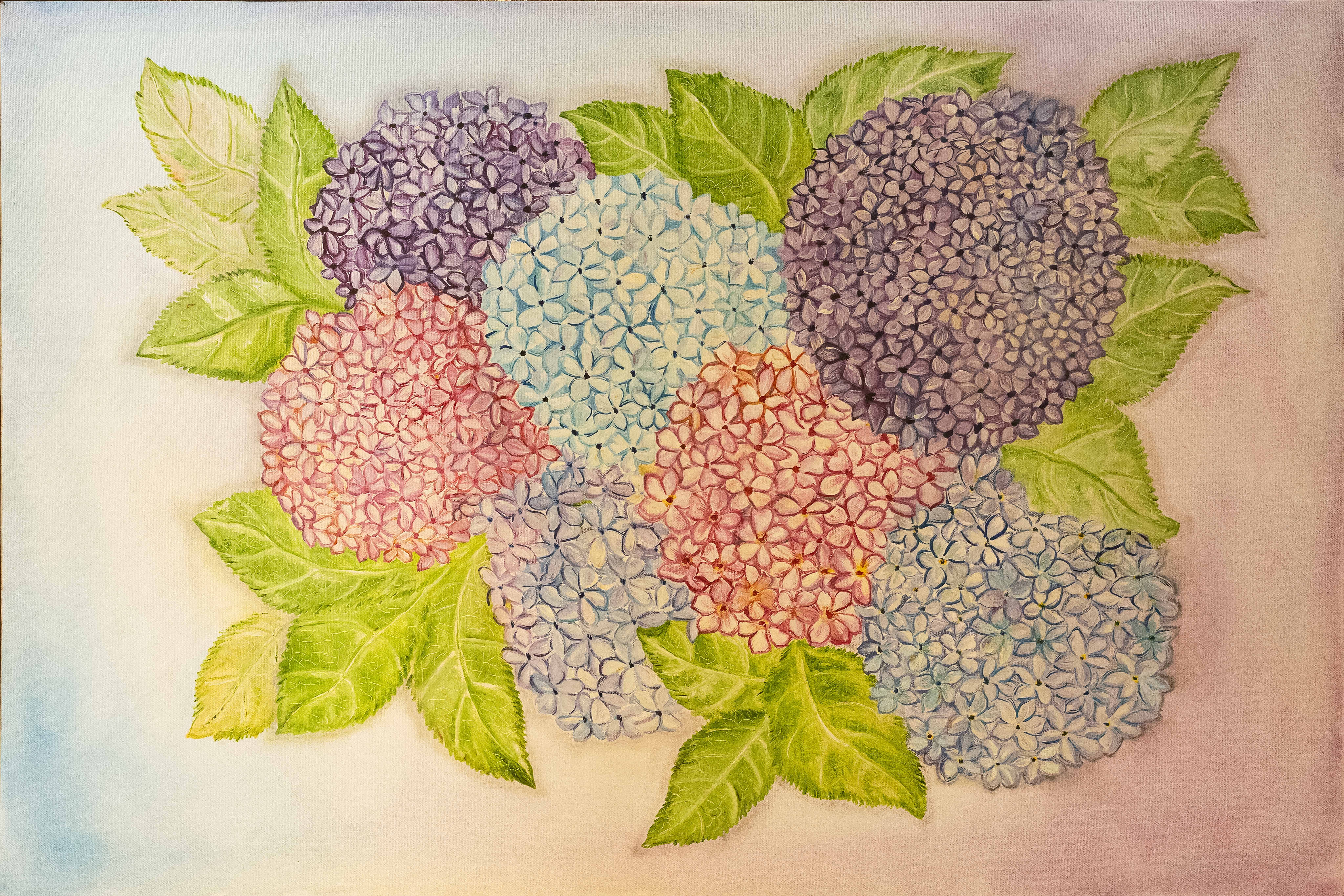 Hues of Hydrangeas