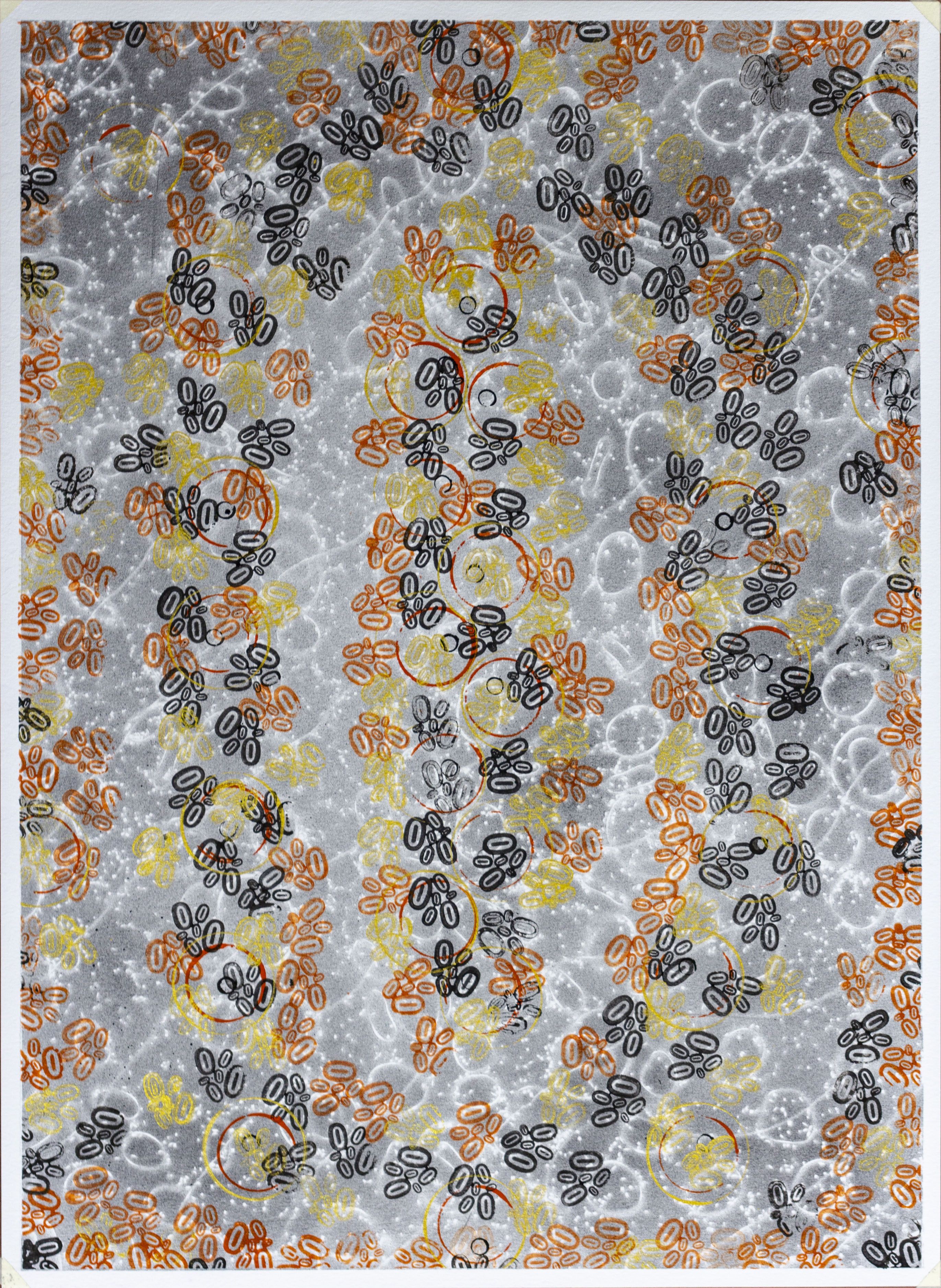PATTERNS OF LIFE