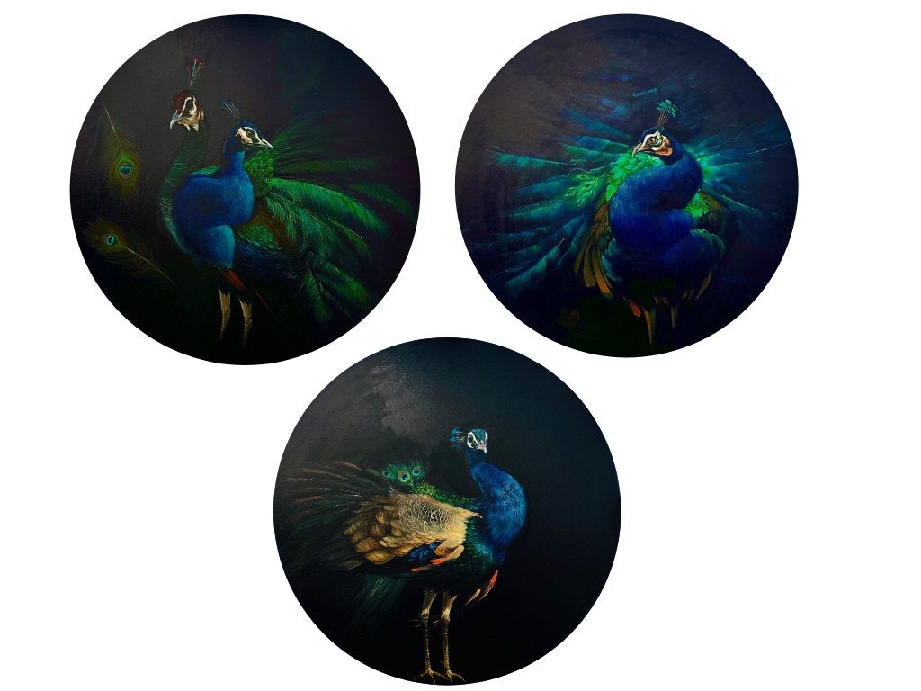 Royal Plumage (Set of 3 )