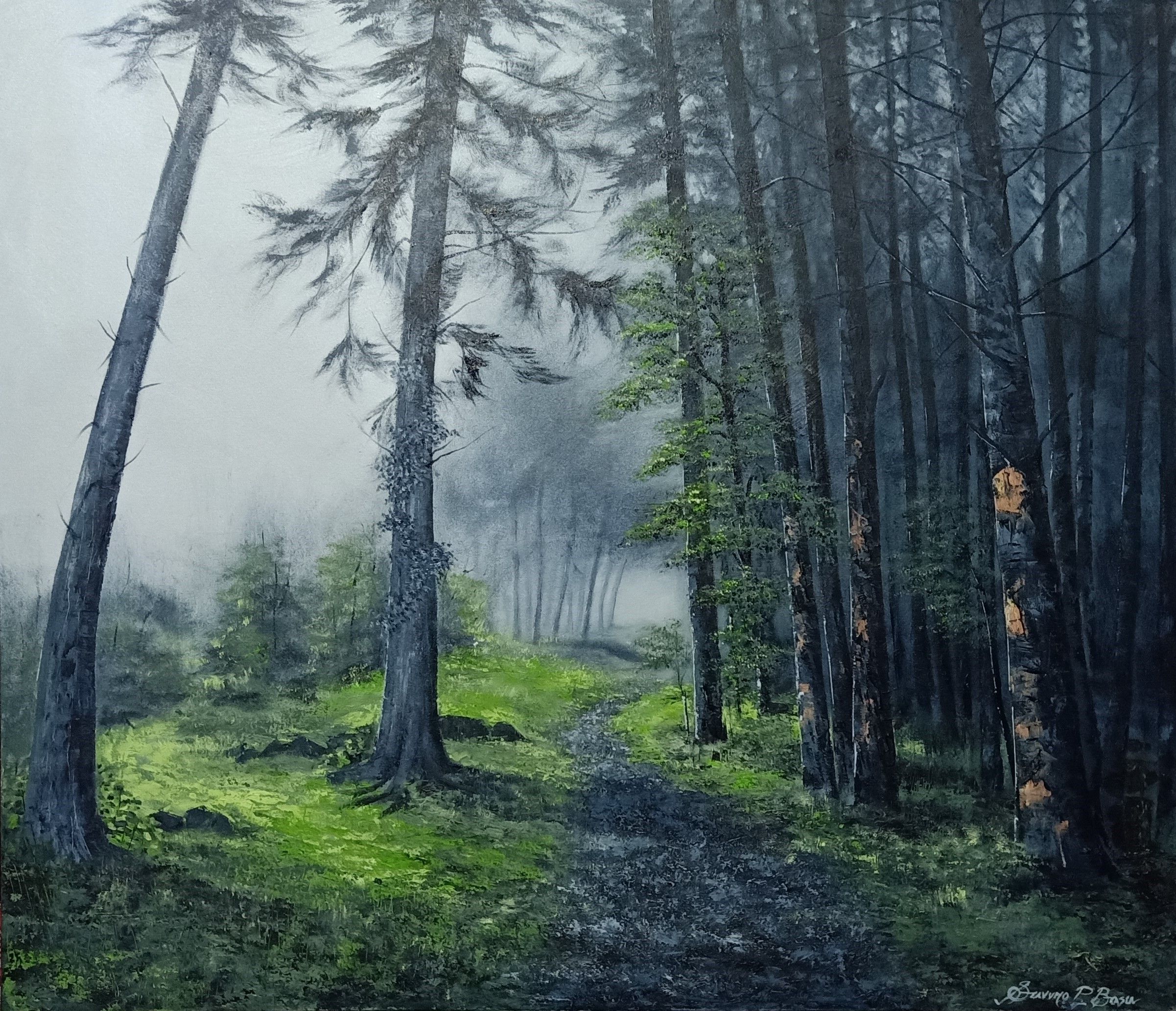Rhythm of Nature