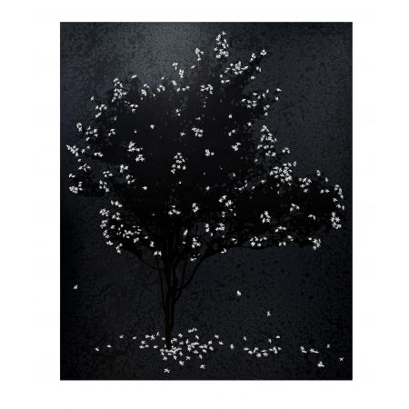 REMINISCENCES OF FRAGRANCE-V