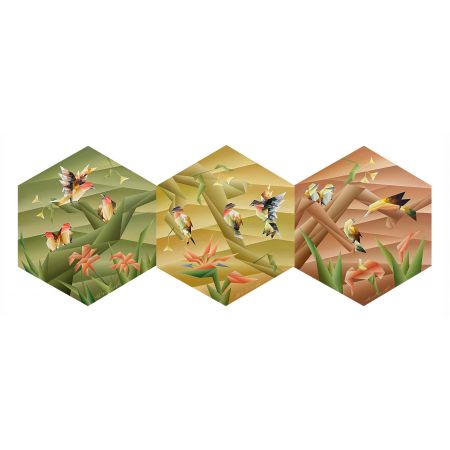 Mutualistic relationship (Set of 3)