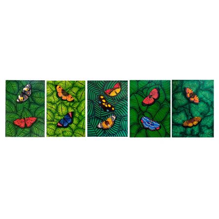 Gift of Nature series (Set of 5)