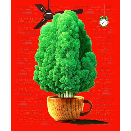 morning tree