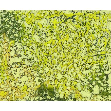 I Hide in the Sunflower