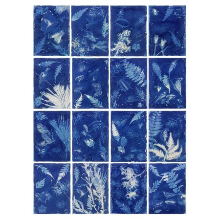 Untitled (Set of 16)