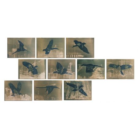 Let's fly away to a better place set of 10