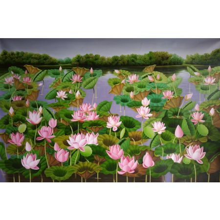 Lotus in Pond 