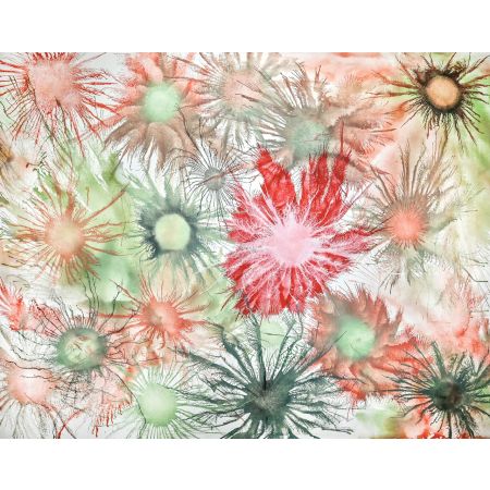 Exploflora series feminine corals 