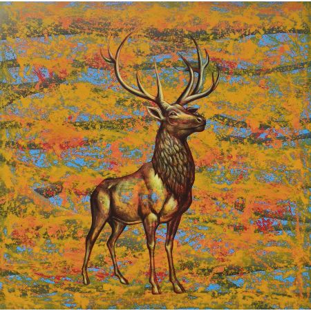 The Stag's quite Kingdom 