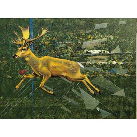 Stag's quite Kingdom VI 