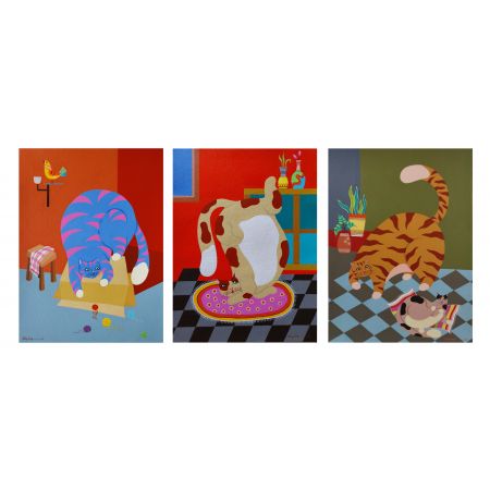 The Cat's story (set of 3)