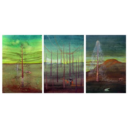 Inside the Nature (Set of 3)