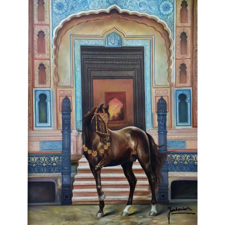 Marwari horse portrait 