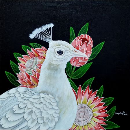 The Majestic Treasures of Nature