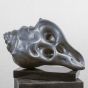 Conch- The Sound of Infinity, Antique Silver, 1/5