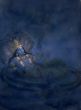 LORD VISHNU 11