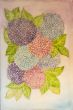 Hues of Hydrangeas