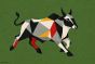 Bull Series