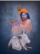 melody of Krishna