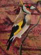 The Bird That Remembers