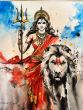 Shakti 1