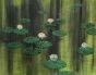 Waterlilies 