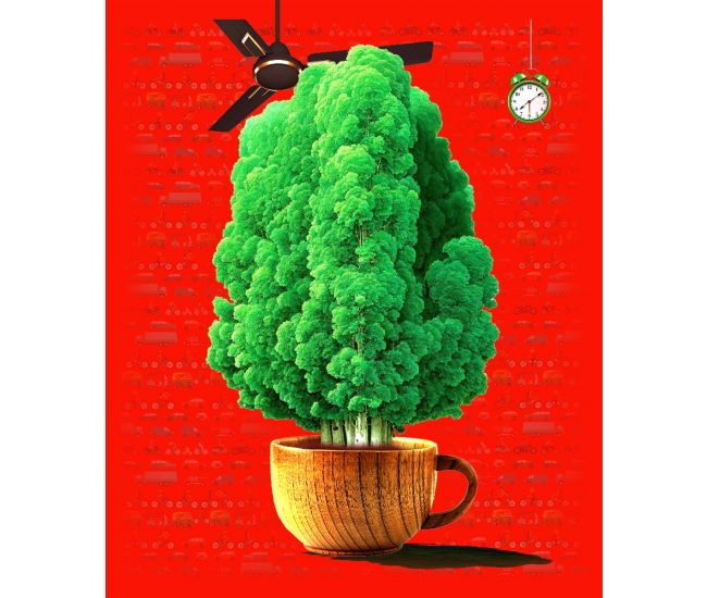 morning tree