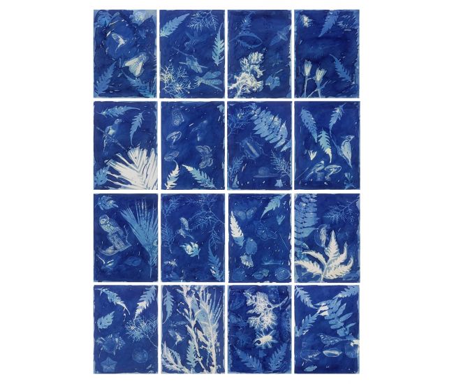 Untitled (Set of 16)