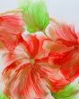 SCARLET WHISPERS