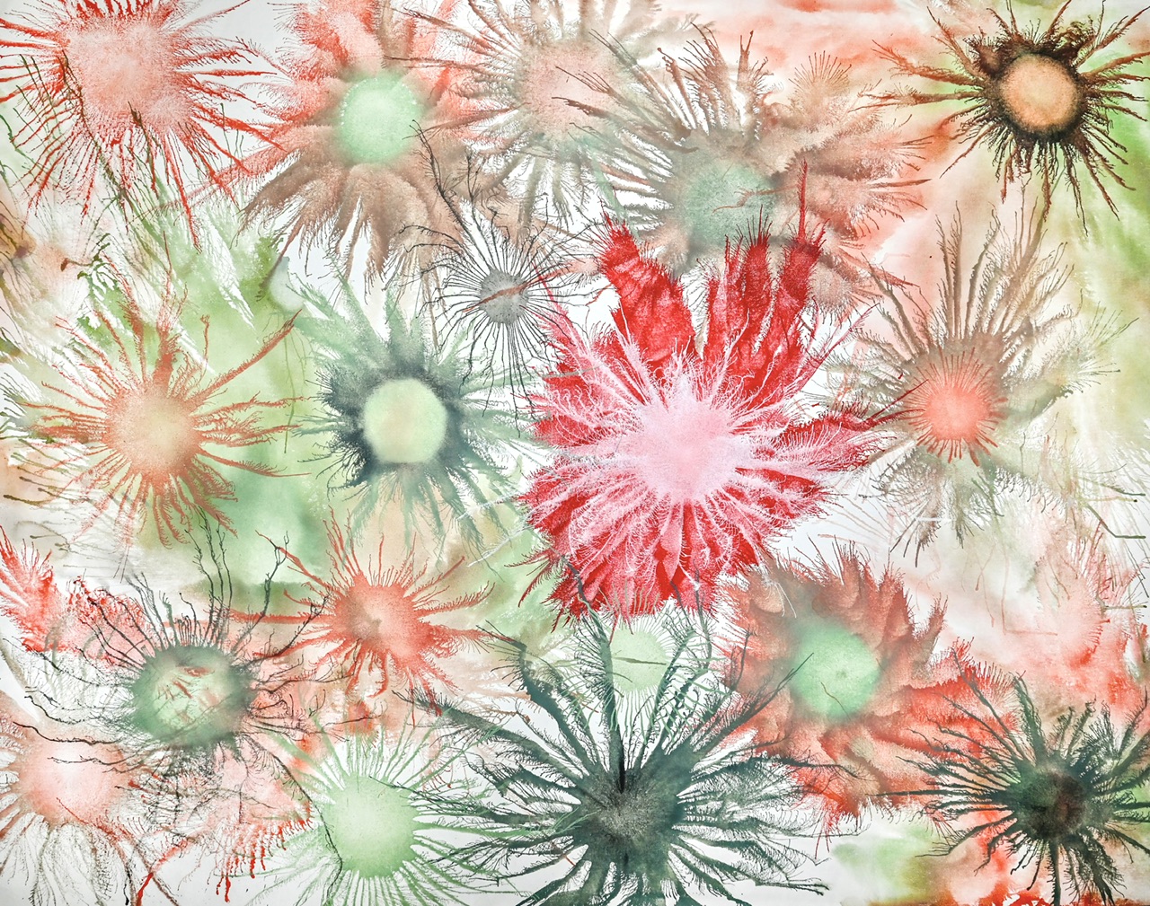 Exploflora series feminine corals 